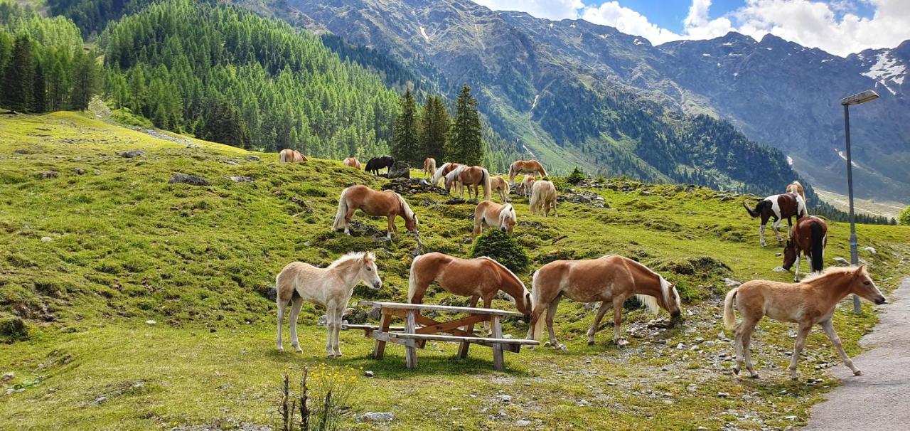 Gaestehaus Landhaus Tyrol Гріс-ім-Зелльрайн Екстер'єр фото