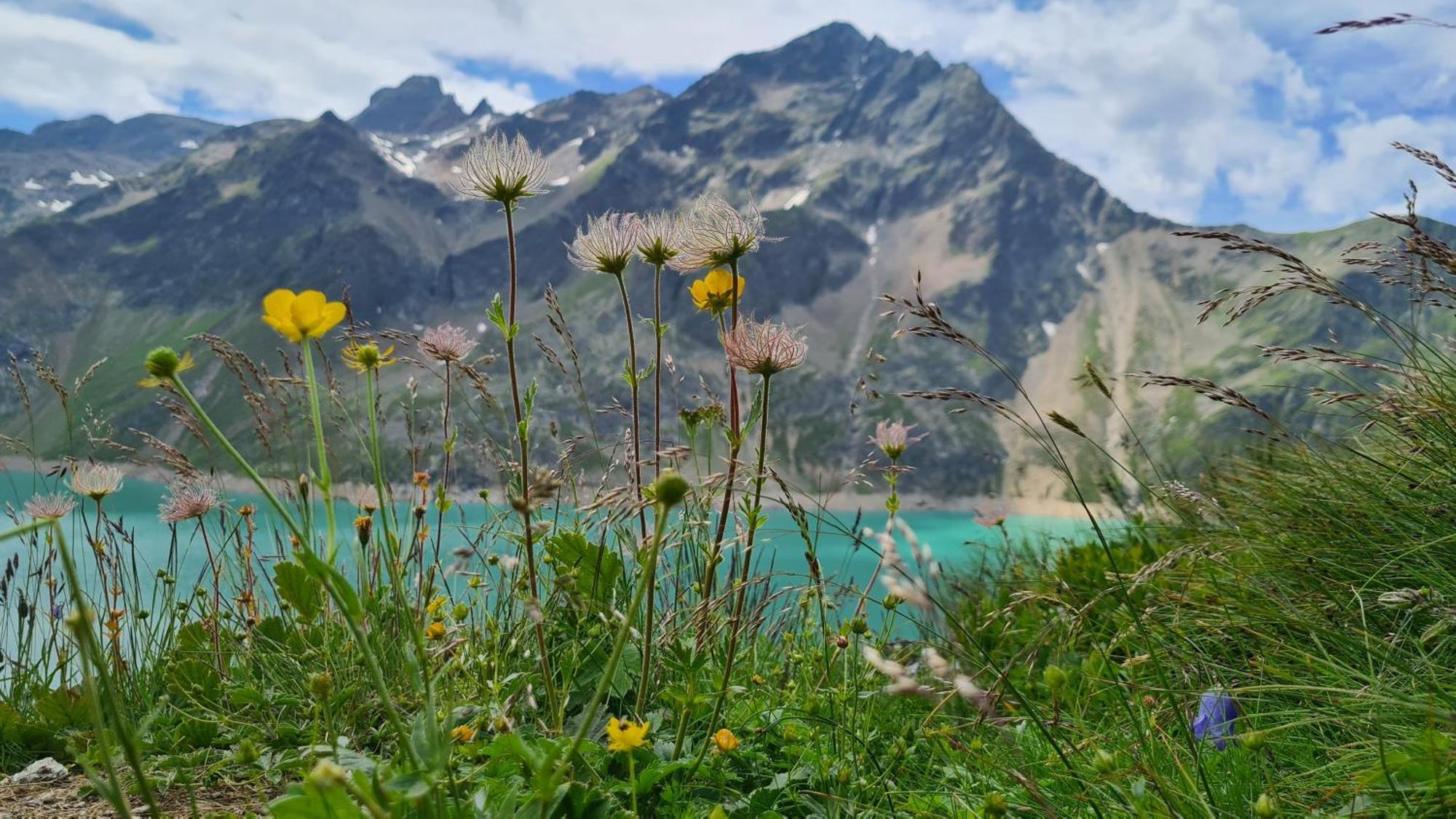 Gaestehaus Landhaus Tyrol Гріс-ім-Зелльрайн Екстер'єр фото