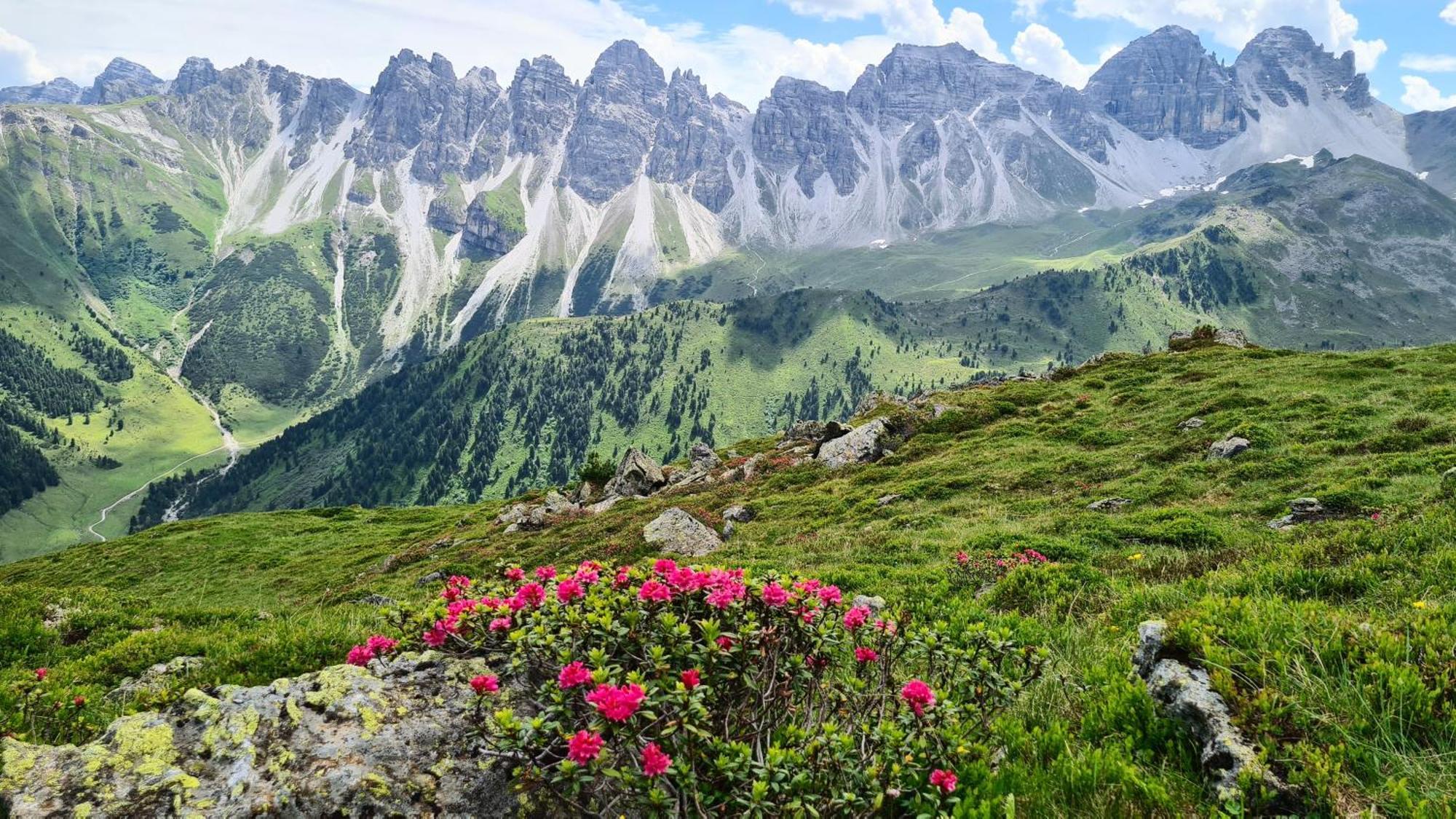 Gaestehaus Landhaus Tyrol Гріс-ім-Зелльрайн Екстер'єр фото