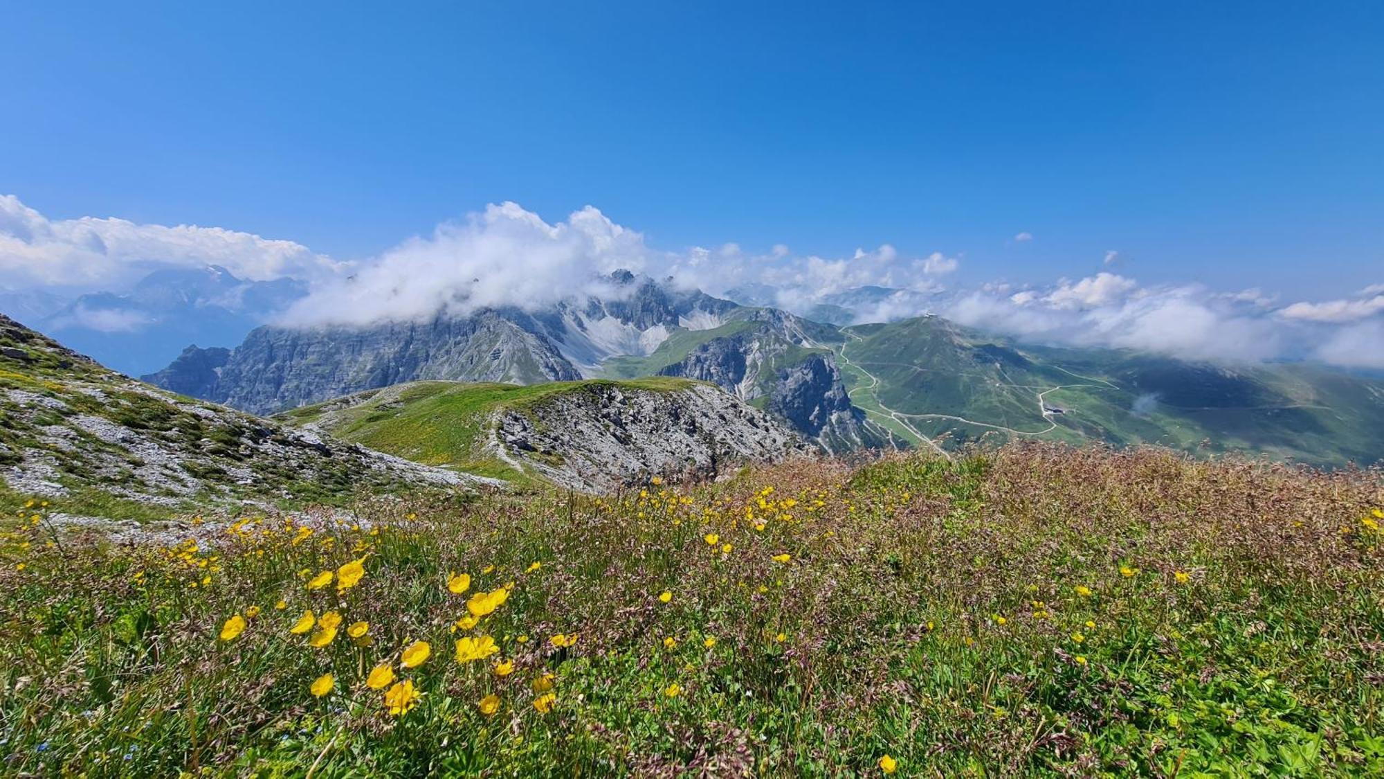 Gaestehaus Landhaus Tyrol Гріс-ім-Зелльрайн Екстер'єр фото