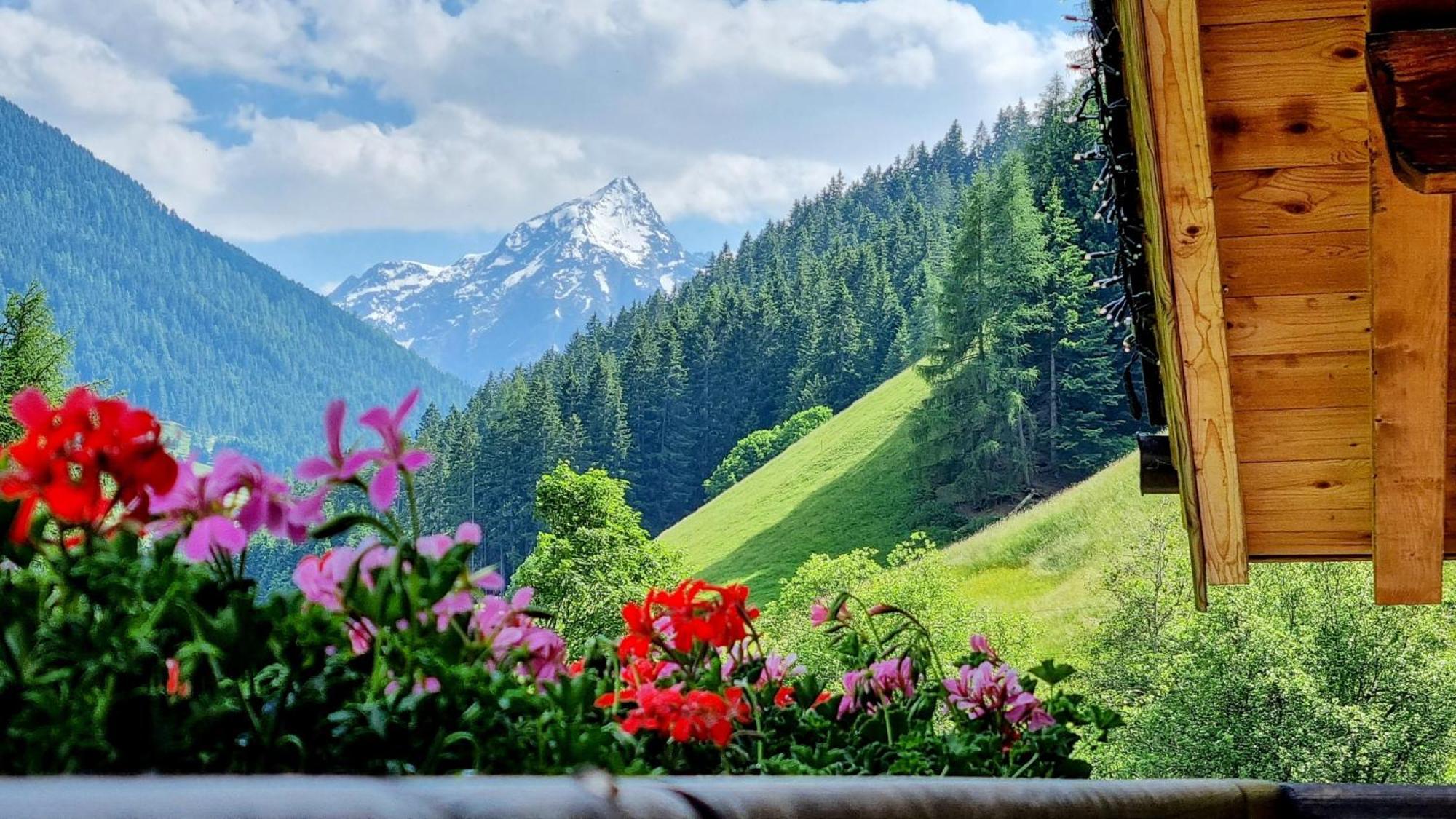 Gaestehaus Landhaus Tyrol Гріс-ім-Зелльрайн Екстер'єр фото